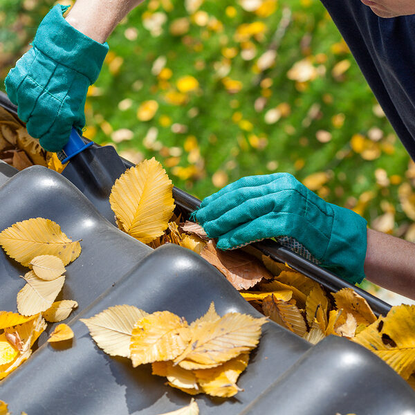 Man Cleaning The Gutter Rain Gutter cleaning in Greeley Colorado and Northern Counties.